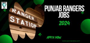 Punjab Rangers Jobs 2024