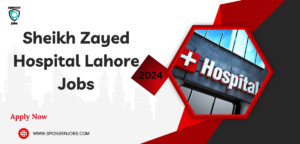 Sheikh Zayed Hospital Lahore Jobs